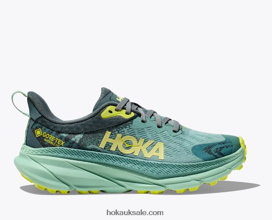 XHPD4N94 Challenger 7 GTX Women Trellis/Balsam Green Hoka