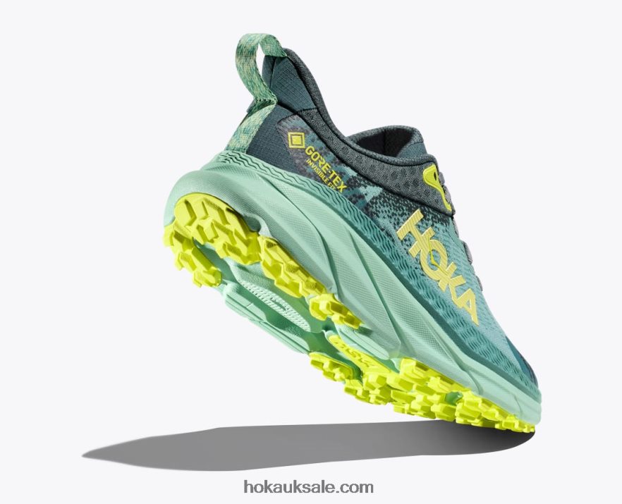XHPD4N94 Challenger 7 GTX Women Trellis/Balsam Green Hoka