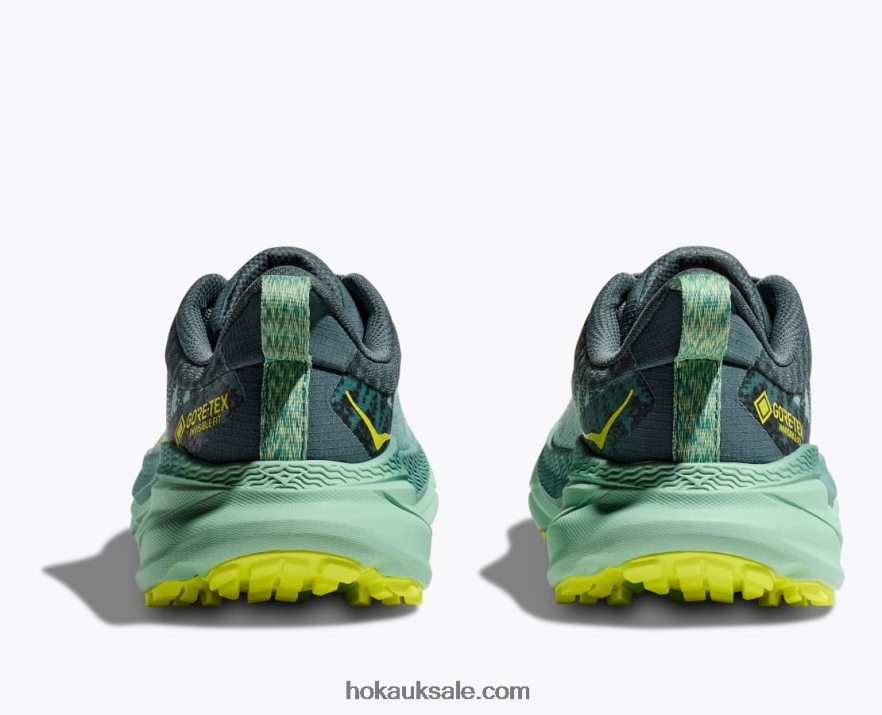 XHPD4N94 Challenger 7 GTX Women Trellis/Balsam Green Hoka