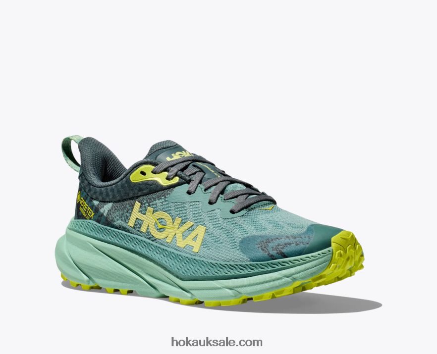XHPD4N94 Challenger 7 GTX Women Trellis/Balsam Green Hoka